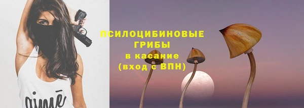 дмт Алексин
