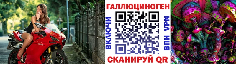 сколько стоит  Тейково  мега как войти  Галлюциногенные грибы Cubensis 